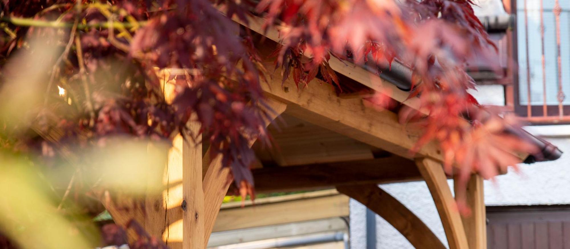 Braeside Guest House, Loch Lomond Drymen Exterior photo